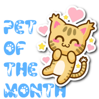 a pet of the month award